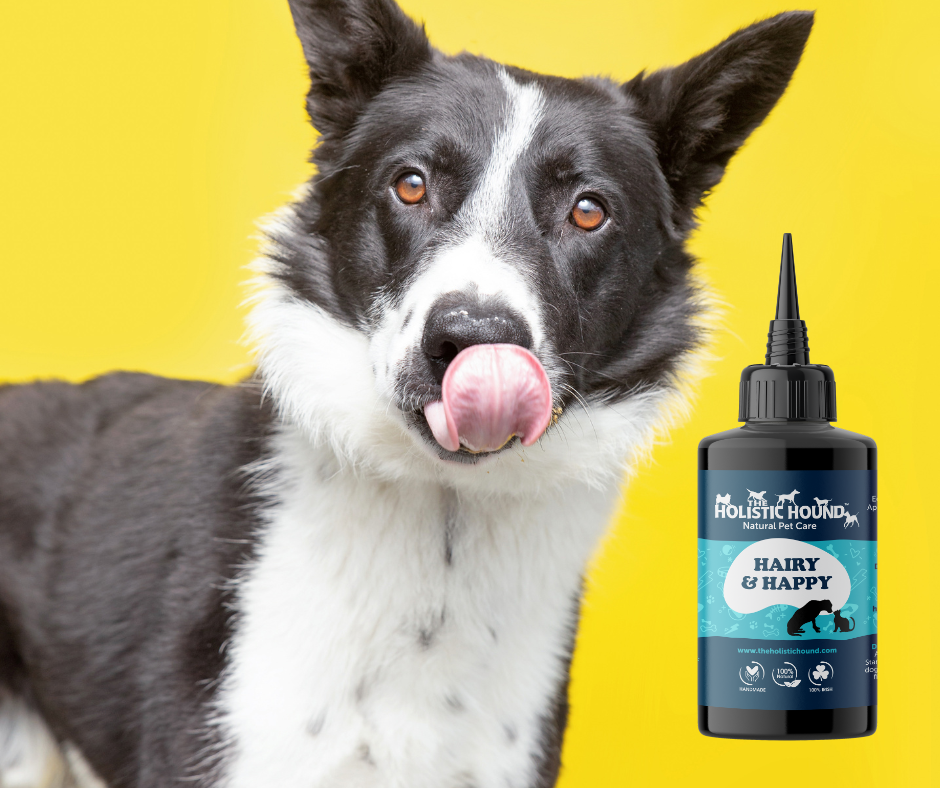 Hairy & Happy (formerly Ticked Off)